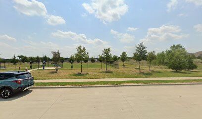 Dog Park