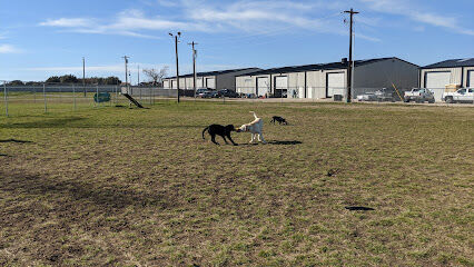 Golden Triangle Dog Park