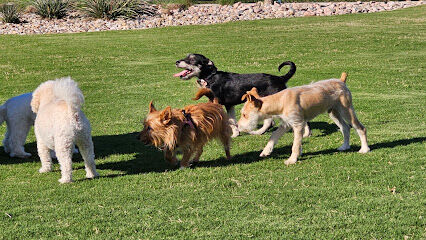 Wood Family Dog Park