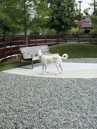 Camden Dog Park Westchase