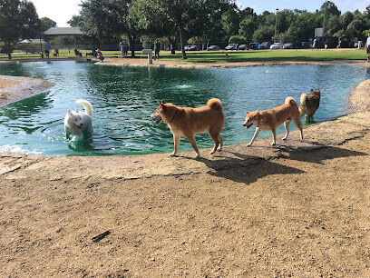 Congressman Bill Archer Dog Park