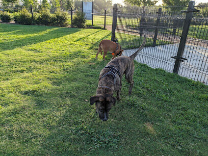 Cutten Green Dog Park