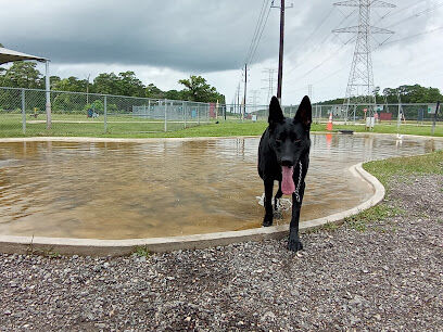 Dog Park at Deussen Park