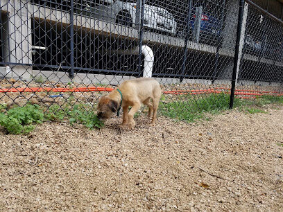 Ervan Chew Dog Park