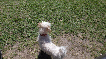 Large Dog Park