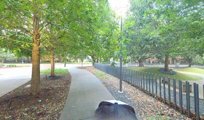 Levy Dog Park