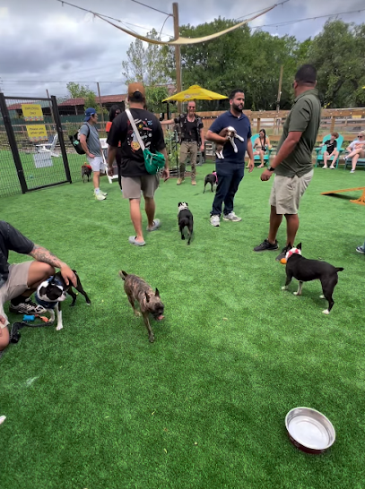 Zoomies Dog Park