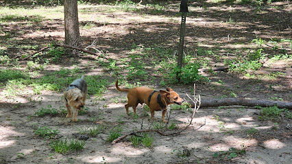 dog park