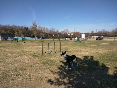 Mickey's Dog Park