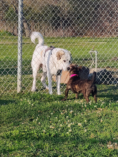 La Porte Dog Park