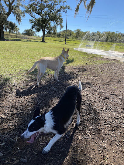 BASF Dog Park