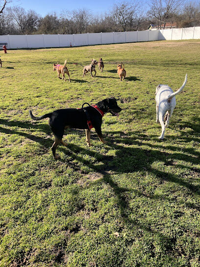 Lake Worth Dog Park
