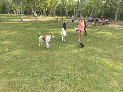 Dog Park