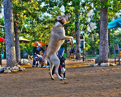 Dog House Drinkery & Dog Park