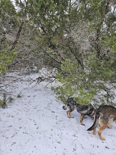 Shady Oaks Retreat 10+ Acre Private Dog Park