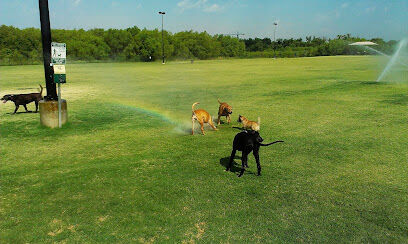 Dog Park
