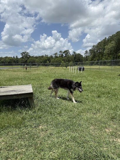 Lumberton Dog Park
