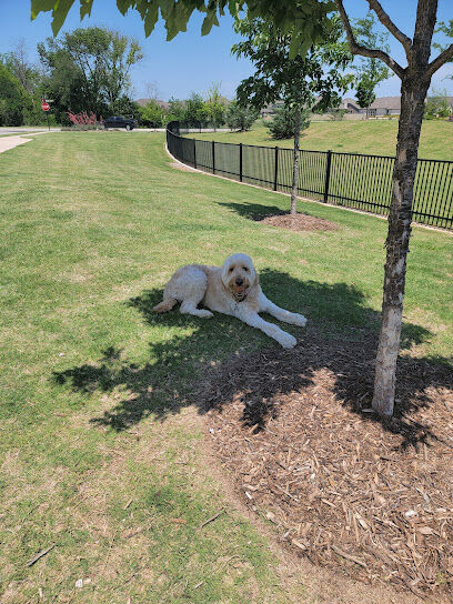 Old Joe dog Park