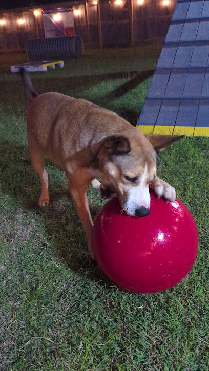 Sisters Private Pet Park & More