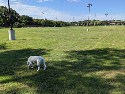 Dog Park | Bob Woodruff