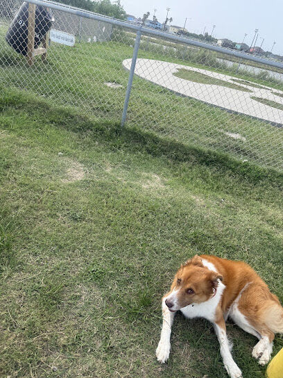 Port Aransas Community Dog Park