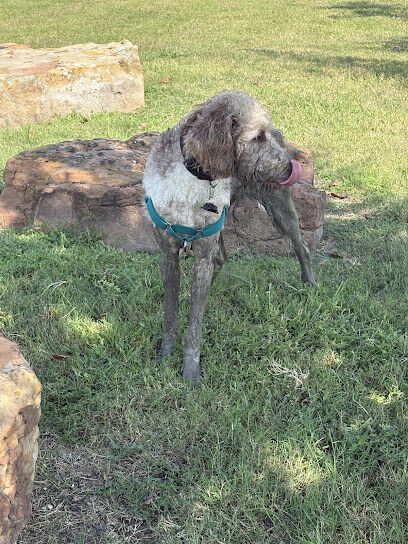 Sierra Vista Dog Park