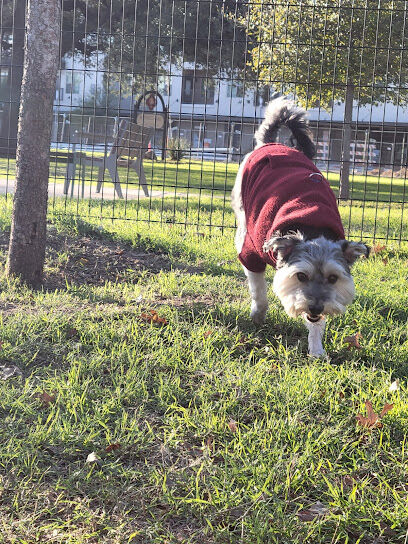 Maverick Dog Park