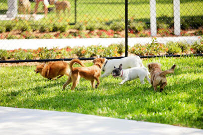 Coffee Creek RV Resort & Cabins Dog Park
