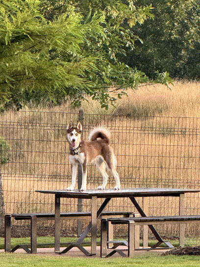 Springwoods Village Dog Park