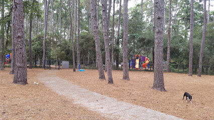 Tamarac Park of The Woodlands