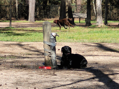 Burroughs Dog Park