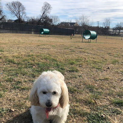 Cherry Lane Dog Park