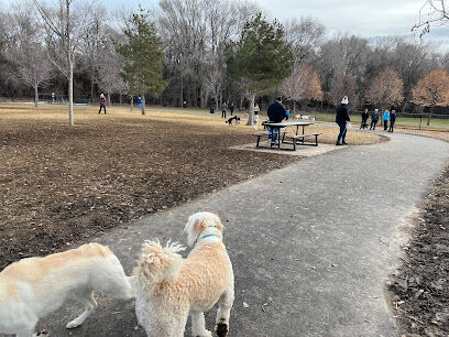 Art Dye Dog Park