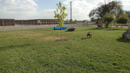 The Barking Lot
