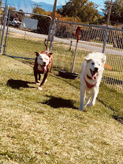 Lincoln Park Community Canine Area