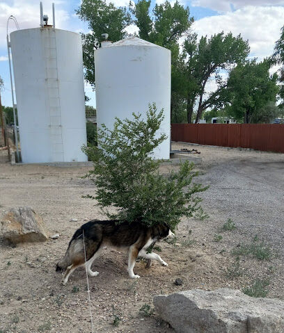 Green River Dog Park