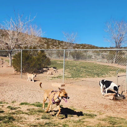 Hurricane Dog Park
