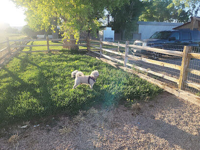 Dog park