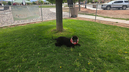 Centennial Dog Park