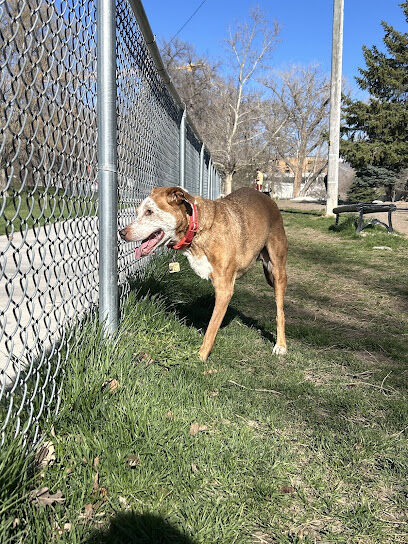 Fairmont Dog Park