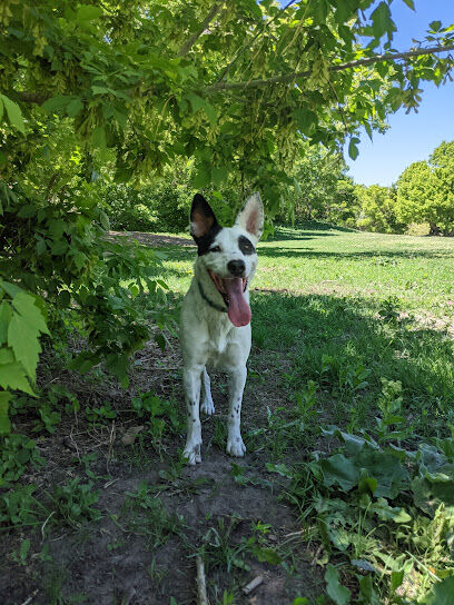 Rotary Glen Dog Park