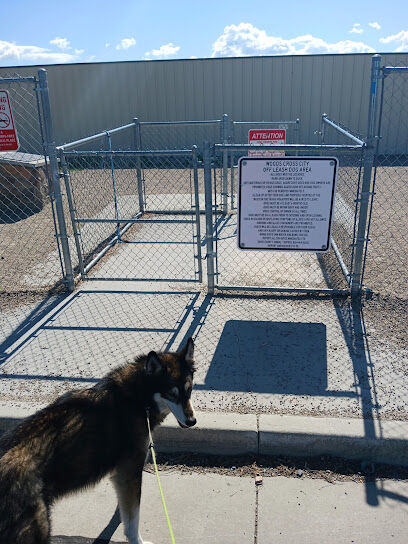 Foxboro Dog Park