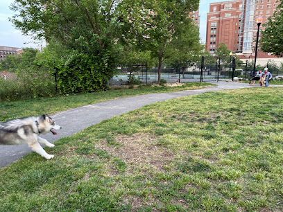 Dog Run Park at Carlyle