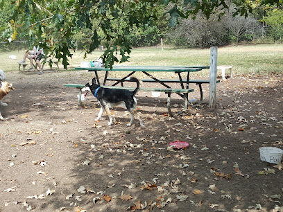 Duke Street Dog Park