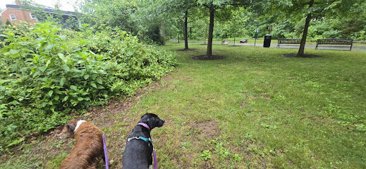Holmes Run Dog park