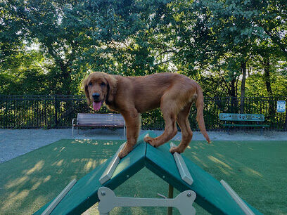 Avalon at Arlington Square Dog Park