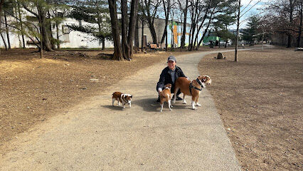 Shirlington Dog Park