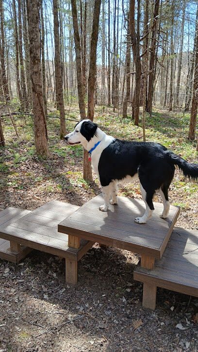 Paw Park