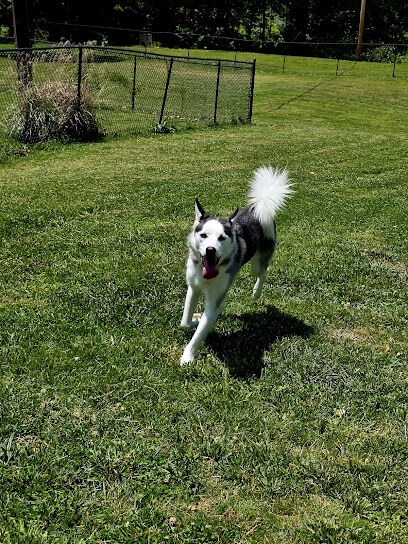 Big Stone Gap Dog Park