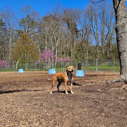 Blacksburg Dog Park
